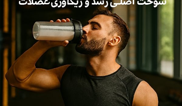 پروتئین ورزشی